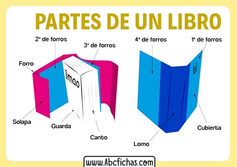 Partes De Un Libro Para Niños