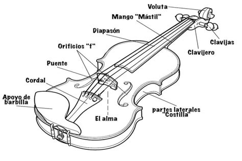 Partes De Un Violin