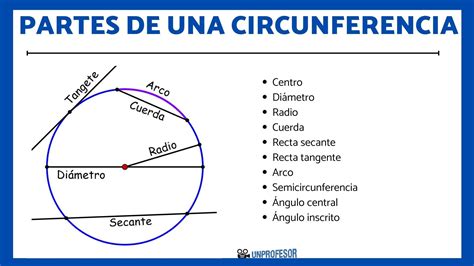 Partes Del Circulo