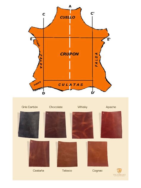 partes del cuero