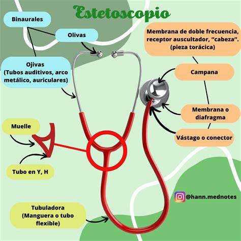 Partes Del Estetoscopio