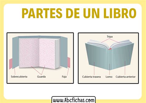 Partes Del Libro
