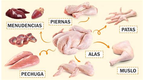 Partes Del Pollo