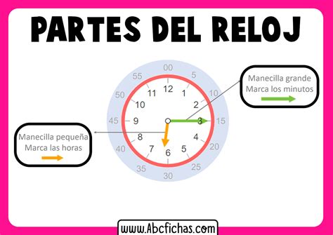 Partes Del Reloj