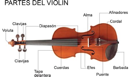 Partes Del Violin