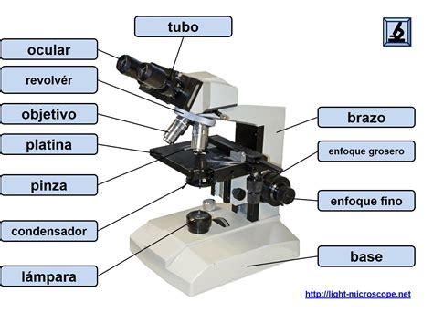 Partes Do Microscopio