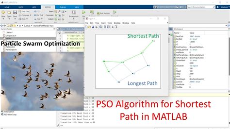 Particle Swarm Optimization Clustering Matlab Code Bing
