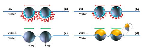 Particles At Fluid Interfaces And Membranes Volume 10 Attachment Of Colloid Particles And Proteins To Interfaces And Formation Of Two Dimensional Arrays Studies In Interface Science