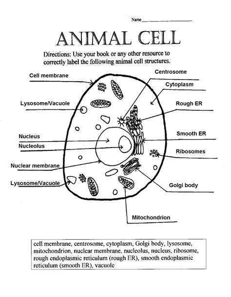 Parts Of A Cell Labeling Assessment 5th Grade Cell Worksheet For 5th Grade - Cell Worksheet For 5th Grade