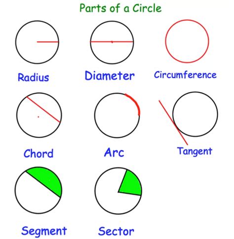 Parts Of A Circle Gcse Maths Steps Examples Label Circle Parts Worksheet Answers - Label Circle Parts Worksheet Answers