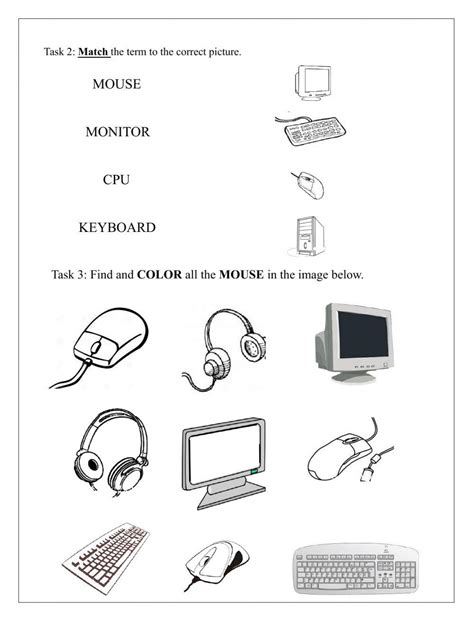 Parts Of A Computer Worksheet