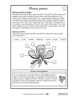 Parts Of A Flower 5th Grade Science Worksheet Worksheet On Plant 5th Grade - Worksheet On Plant 5th Grade