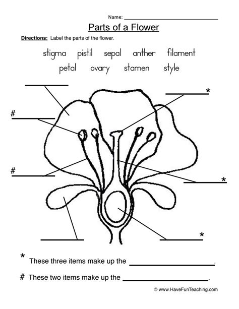 Parts Of A Flower 5th Grade Science Worksheet Worksheet On Plant 5th Grade - Worksheet On Plant 5th Grade