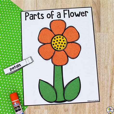 Parts Of A Flower Arts Education Parts Of A Flower Lesson Plan - Parts Of A Flower Lesson Plan