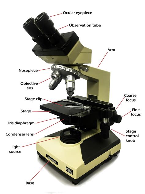 Parts Of A Microscope Labeling Amp Functions Worksheet Labeling Microscope Worksheet 7th Grade - Labeling Microscope Worksheet 7th Grade