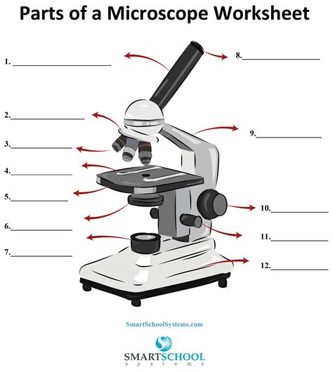 Parts Of A Microscope Worksheet Microscope Magnification Worksheet - Microscope Magnification Worksheet