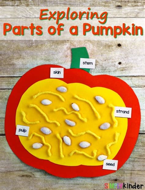 Parts Of A Pumpkin Craft Kindergarten Worksheets And Pumpkin Worksheets Kindergarten - Pumpkin Worksheets Kindergarten