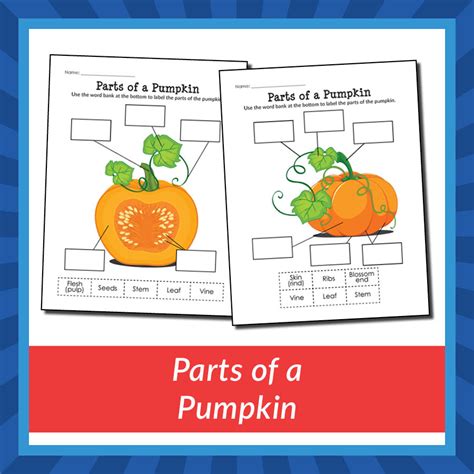 Parts Of A Pumpkin Gift Of Curiosity Label Pumpkin Parts Kindergarten Worksheet - Label Pumpkin Parts Kindergarten Worksheet