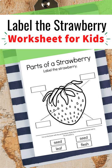 Parts Of A Strawberry Worksheet Homeschool Preschool Strawberry Lesson Plans Preschool - Strawberry Lesson Plans Preschool