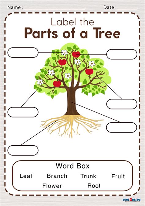 Parts Of A Tree Worksheets For Kids Nature Kindergarten Leaf Tree Worksheet - Kindergarten Leaf Tree Worksheet