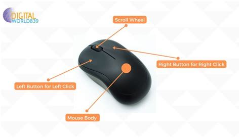 Parts Of Mouse
