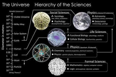 Parts Of Science   Branches Of Sciences Physical Earth Amp Life Sciences - Parts Of Science