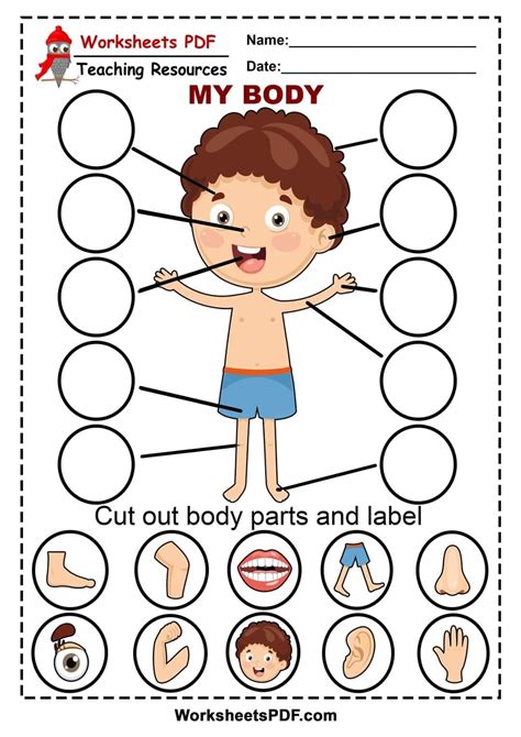 Parts Of The Body Free Printables Missyprintabledesign Printable Body Parts Cut And Paste - Printable Body Parts Cut And Paste
