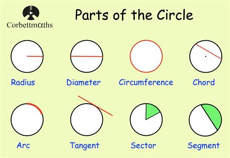 Parts Of The Circle Answers Corbettmaths Primary Label Circle Parts Worksheet Answers - Label Circle Parts Worksheet Answers