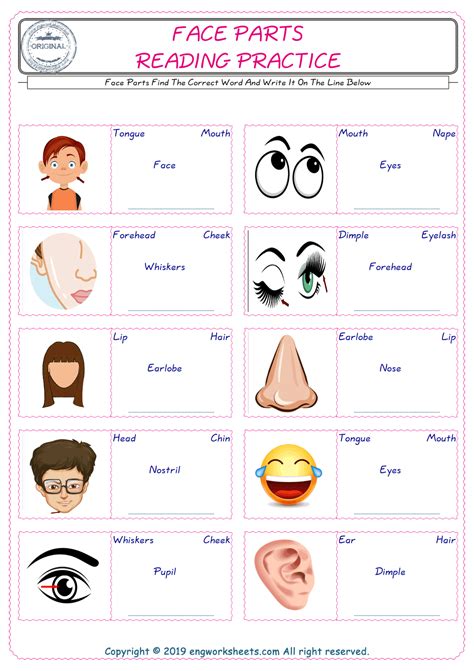 Parts Of The Face Worksheets Esl Printables Printable Face Parts Cutouts - Printable Face Parts Cutouts