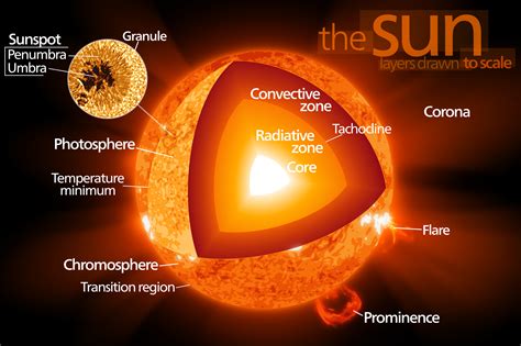 Parts Of The Sun Teaching Resources Tpt Parts Of The Sun Worksheet - Parts Of The Sun Worksheet