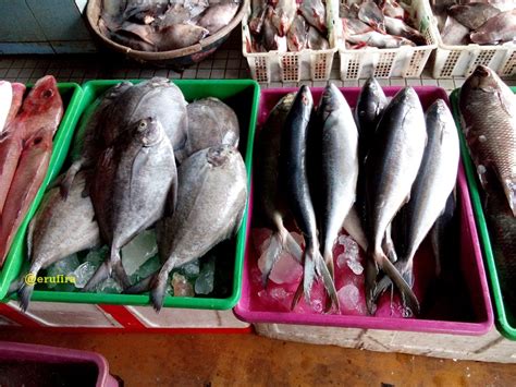 pasar ikan sidoarjo