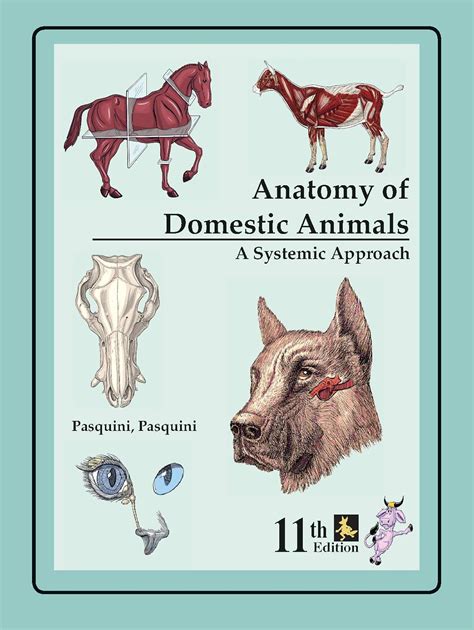 Pasquini Veterinary Anatomy