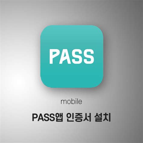 pass 앱 설치