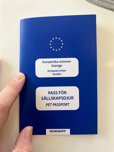 pass katt inom eu