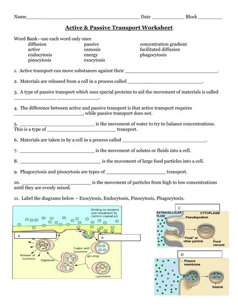 Passive Transport Worksheet And Cutting Worksheets For Transport Worksheets For Kindergarten - Transport Worksheets For Kindergarten