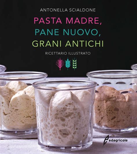 Read Online Pasta Madre Pane Nuovo Grani Antichi Ricettario Illustrato 