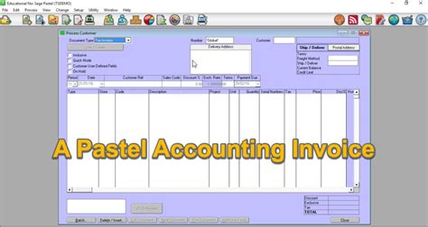 Read Online Pastel Accounting For Dummies 