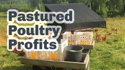 Read Online Pastured Poultry Profit 