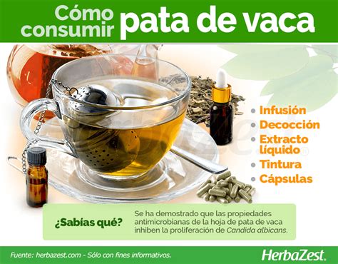 Pata De Vaca Testimonios