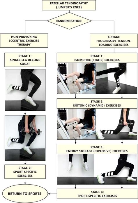Patellar Tendonitis Rehab Protocol