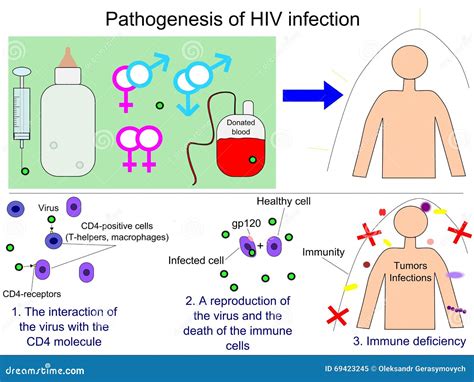 Pathogenesis Of Aids