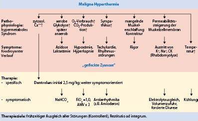 pathophysiologie der malignen hyperthermie und de