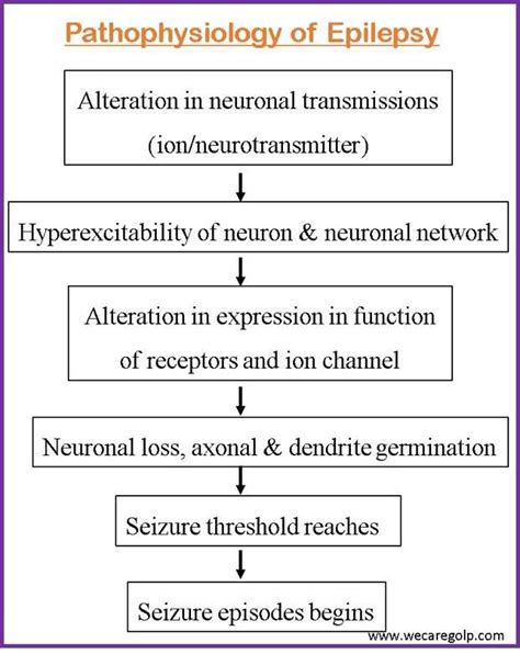 Pathophysiology Of Epilepsy