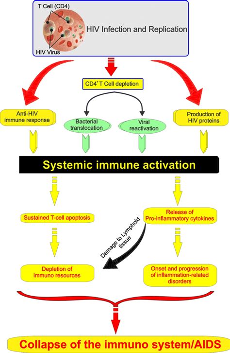 Pathophysiology Of Hiv