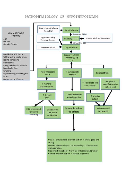 pathophysiology of hypothyroidism schematic diagram