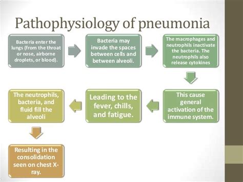 Pathophysiology Of Pneumonia Ppt
