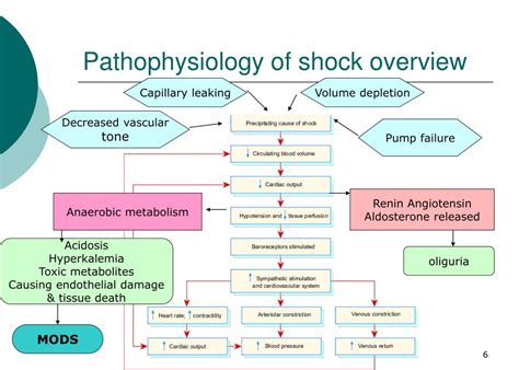 Pathophysiology Of Shock