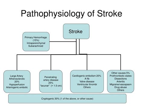 Pathophysiology Of Stroke Ppt