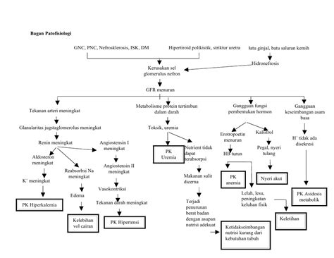 pathway ckd | efficacy and safety of radiofrequency catheter ablation