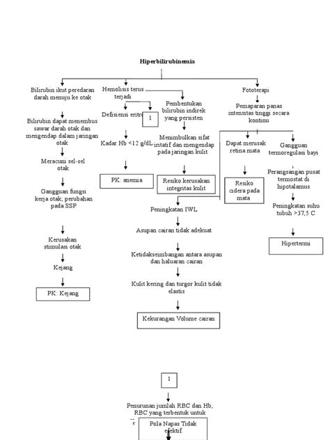 pathway hiperbilirubinemia